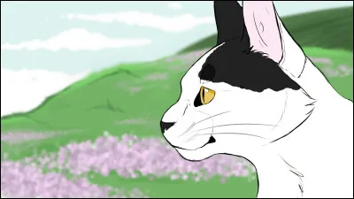 Lequel de ces chats a existé ?