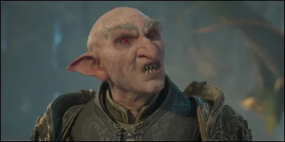 Qui est Rannrok pour Lodgok ?