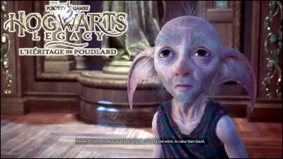 Qui était l'ancien maître de Cheek ?