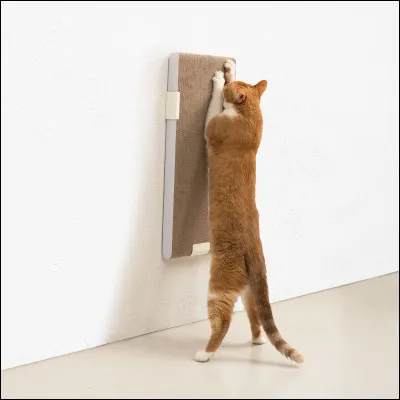 As-tu eu envie de griffer ou mordre quelque chose de façon animale sans le désirer sans raison ?