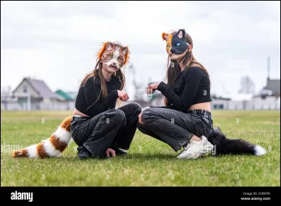 Si tu le pratiques (si non, appuie sur passe), comment te sens-tu quand tu en fais ?