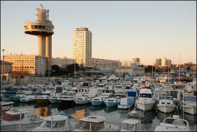 Quel animal peut mouéter ?