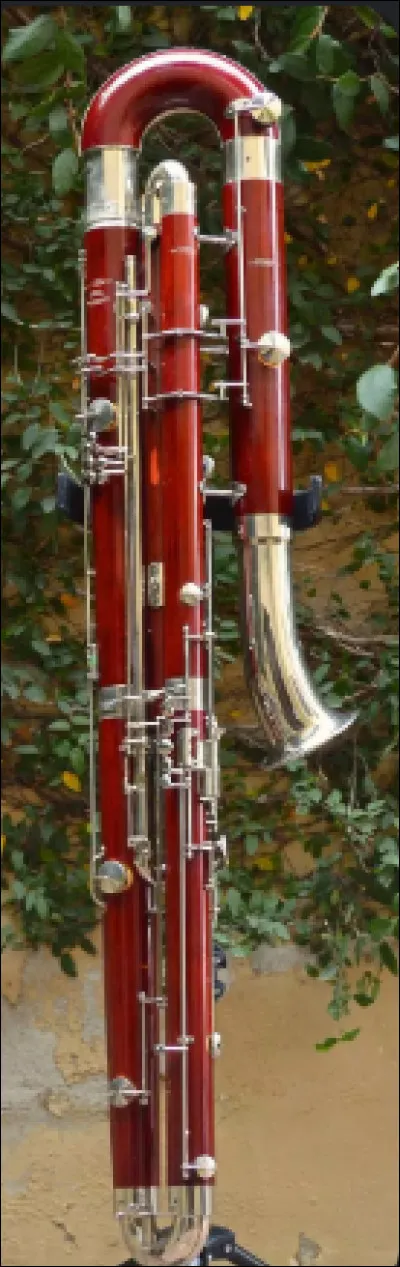 Quel est l'instrument sur cette photo ?