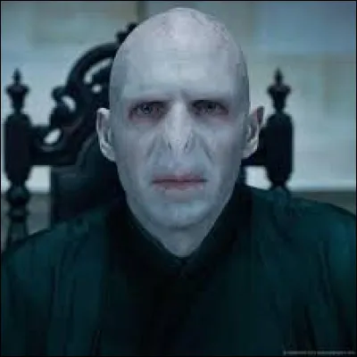 Tom Jedusor meurt pendant un combat. Mais contre qui ? Lui et...