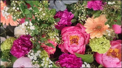 Choisis une caractéristique que tu apprécies chez ceux qui t'entourent :