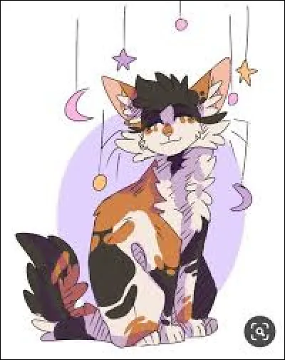 Quel grade poss&egrave;de Nuage de Mousse ?