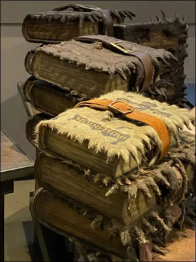 Lorsque vous approfondissez les leçons « Soins aux créatures magiques », vous commencez à penser que vous devriez peut-être vous trouver un animal de compagnie ! 
Quel genre danimal de compagnie magique serait votre acolyte ?