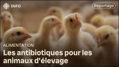 Lequel de ces monstres n'est pas hybride de plusieurs animaux ?