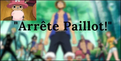 Qui a dit ceci, en sadressant à Luffy ?