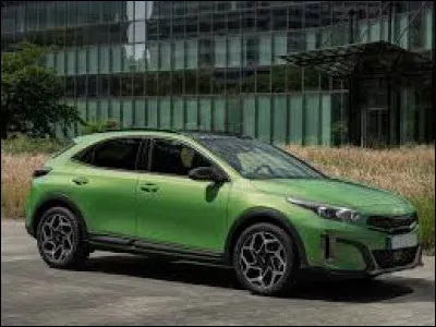 Cette voiture verte est une ...