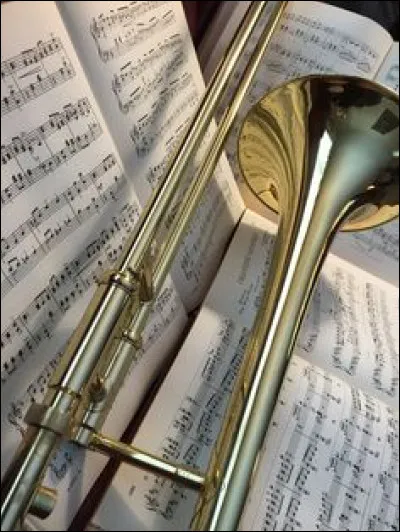 Quel est cet instrument de musique ?