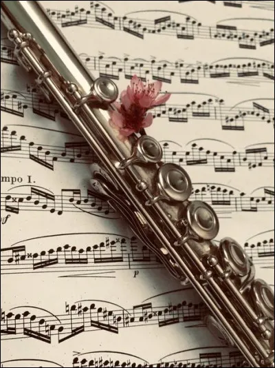 Quel est cet instrument de musique ?