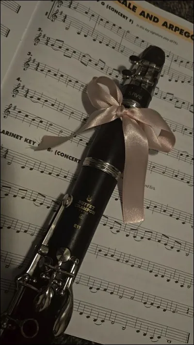 Quel est cet instrument de musique ?