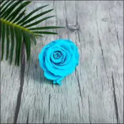 Que penses-tu de cette couleur ? 8/10
(Turquoise ?)