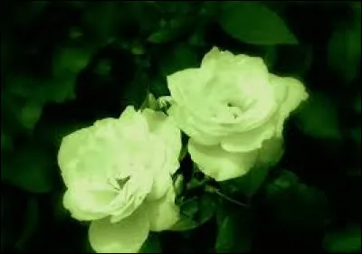 Que penses-tu de cette couleur ? 9/10