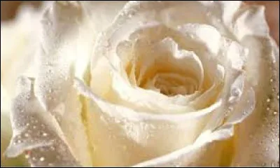 Que penses-tu de cette couleur ? 1/10
Attention, tu n'auras le droit de mettre « c'est ma couleur préférée » qu'une fois !