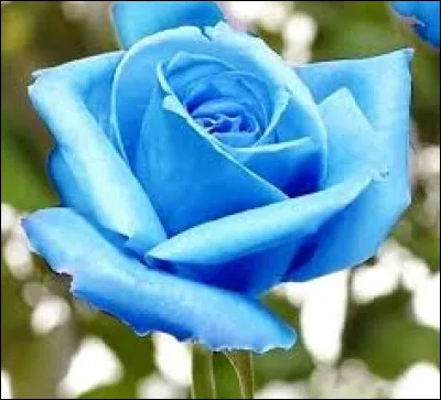 Que penses-tu de cette couleur ? 2/10