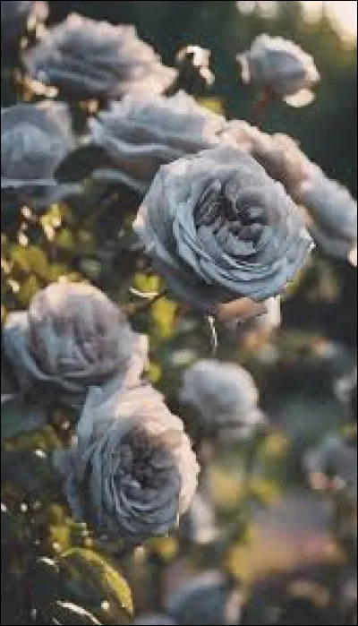 Que penses-tu de cette couleur ? 3/10