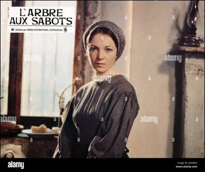 "L'Arbre aux sabots" est un long-métrage réalisé par Ermanno Olmi.
