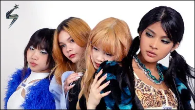 Et pour finir, le premier groupe de k-pop français : Starseed'z ! Qui est la plus biasée ?