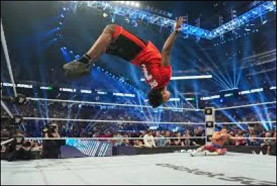 Quel influenceur s'est pris un énorme spears au Royal Rumble 2025 ?