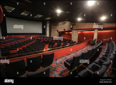 Dernière question ! Aimes-tu aller au cinéma ?