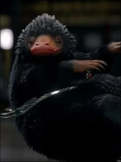 Quelles sont tes capacités magiques ?