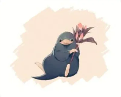 Quelle forme ont tes pattes avant ?