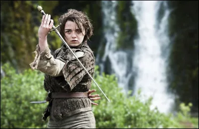 Dans quelle série retrouve-t-on le personnage d'Arya Stark ?