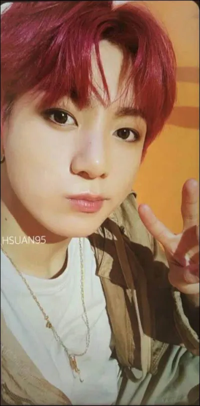 Quelle est la couleur préférée de Jungkook ?