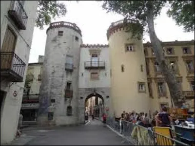 Nous partons maintenant en Occitanie, à Céret. Sous-préfecture de son département, traversé par le Tech, elle se situe ...