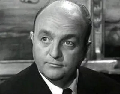 Dans quel film peut-on voir le personnage de Raoul Volfoni ?