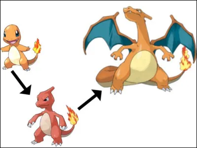 Et enfin, quelle est son évolution ?