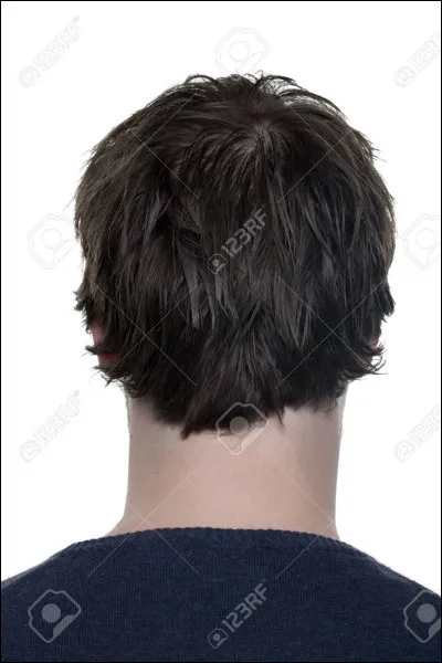 Dans quel manga faut-il couper la tête pour tuer son ennemi ?