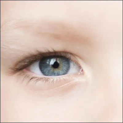 La dernière question de ce test est très répétitive.
De quelle couleur sont tes yeux ?