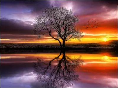 Une personne est d&eacute;c&eacute;d&eacute;e et tu l'aimais. Quelle est ta r&eacute;action ?