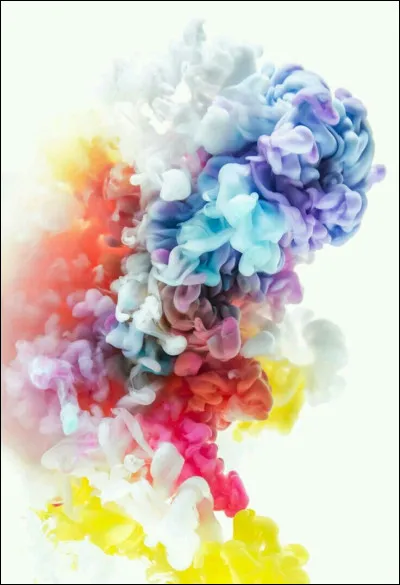 Tu dois partir sur-le-champ pour r&eacute;cup&eacute;rer une petite fortune &agrave; l'autre bout du monde. Quelle est ta r&eacute;action ?