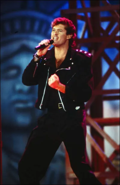 Quel est le genre musical de David Hasselhoff ?