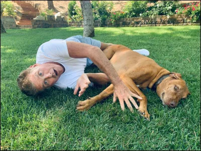 Quel est l'animal préféré de David Hasselhoff ?