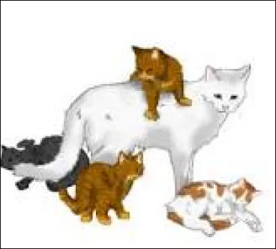 Avec qui reste-t-elle sur le territoire ?