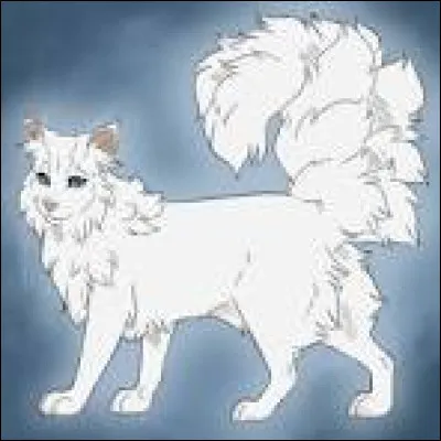 Et ensuite, qui est son compagnon ?