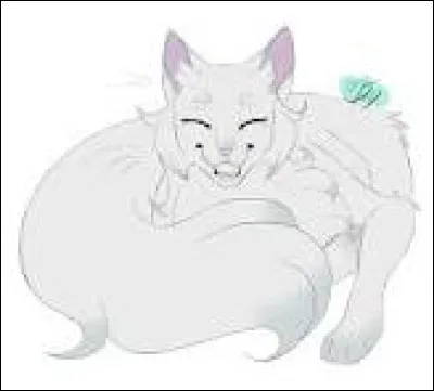 Est-ce eux qui se font enlever par le Clan de l'Ombre ?