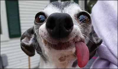 Quelle est ta musique pr&eacute;f&eacute;r&eacute;e des BTS ?