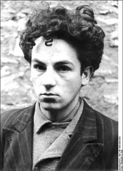 Quel âge avait Wolf Wajsbrot quand il fut fusillé le 21 février 1944 ?