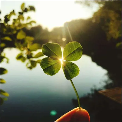Dans le zodiaque chinois, certains signes sont considérés comme particulièrement chanceux. Répondez honnêtement à cette question : vous trouvez-vous chanceux dans votre quotidien ?