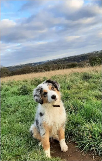 Quel est ton plus grand atout selon toi ?