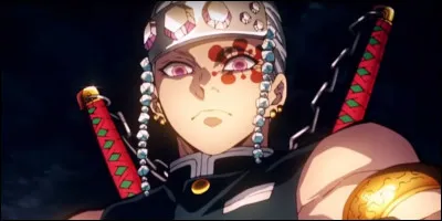 Uzui Tengen était anciennement un ninja. Un jour, son père organise une épreuve, il doit tuer des personnes masquées (tout comme lui). Mais quand il se rend compte des personnes qu'il a tuées, il se rend compte que ce sont :