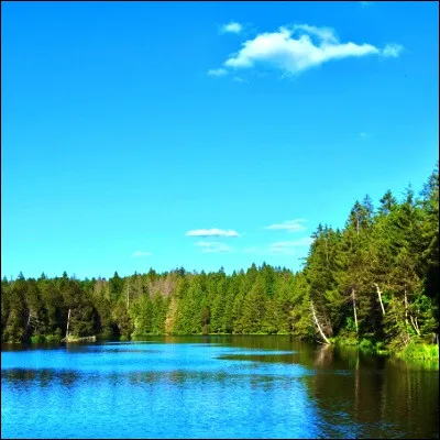 Quel oiseau, indicateur de la qualité dun milieu aquatique, doit son nom au fait que, selon une légende, un saint le compara à un démon ?