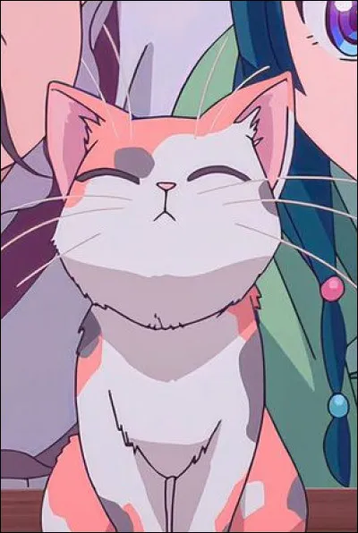 Et enfin celle qu'on attendait tous, qui est-ce ?