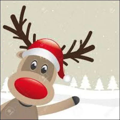 Rudolph est le ... au nez rouge du père Noël.